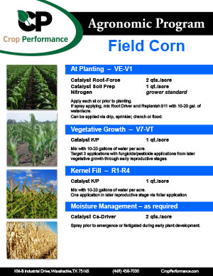 corn_nutrition-program_catalyst_crop-performance-1