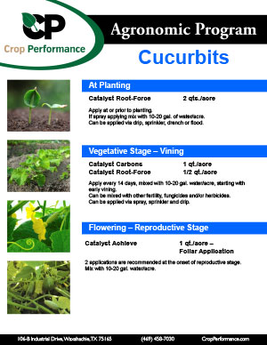 cucurbits_nutrition-program_catalyst_crop-performance-1