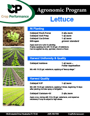 lettuce_nutrition-program_catalyst_crop-performance-1