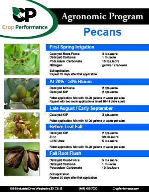 pecan_nutrition-program_catalyst_crop-performance-1